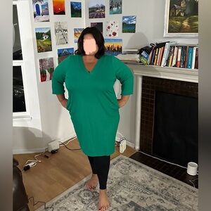 Beautiful plus size pullover dress.